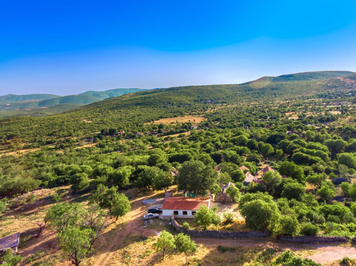 Luxury House Ivan With 4 Bedrooms Divojevici Exterior photo